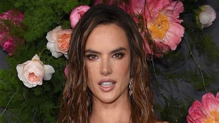 Alessandra Ambrosio in Two-Piece Workout Gear Shares Gym Selfie