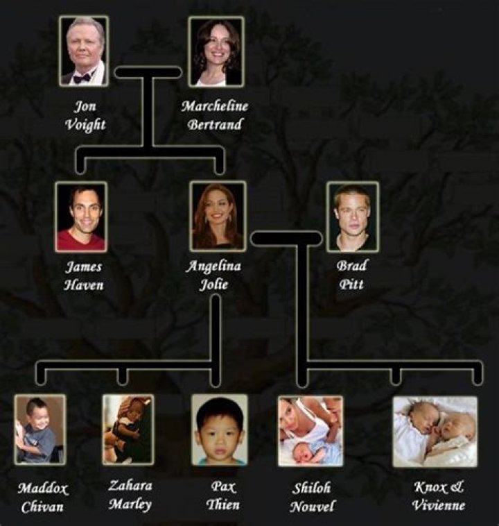 Angelina Jolie Family Tree Father, Mother and Children Name Pictures