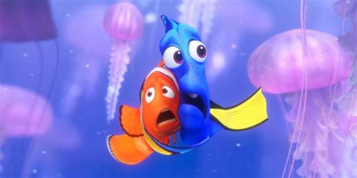 Are Dory And Marlin In Love? – Celebrity
