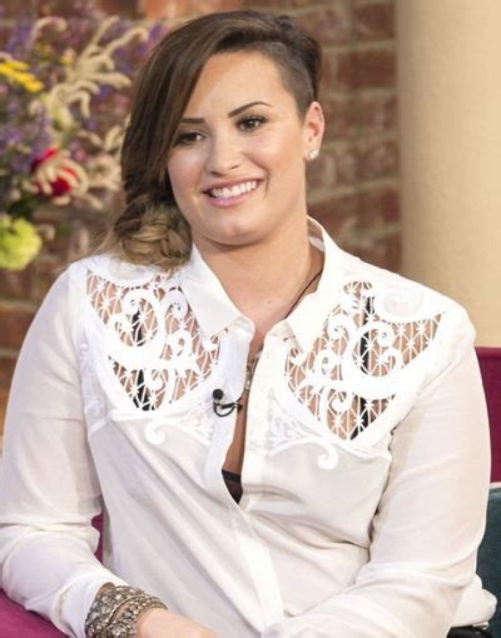 Demi Lovato Favorite Color Movie Book Food Hobbies Biography