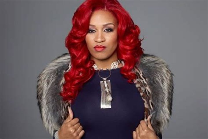 
How Much Money Does Rashidah Ali Make? Latest Income Salary
