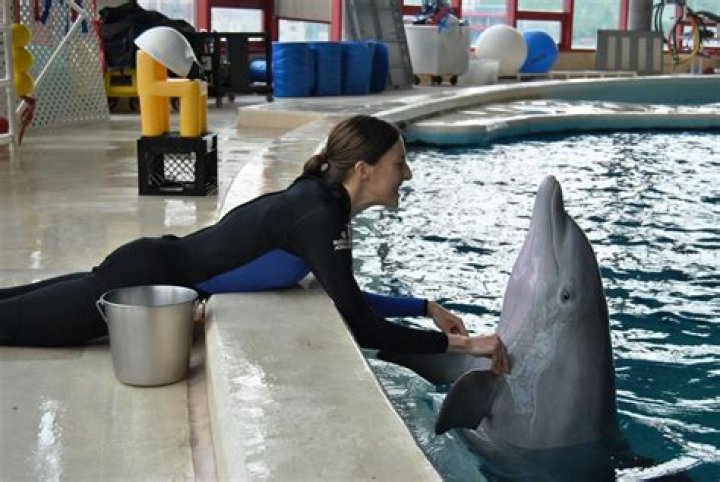 Izabella Krzan in Bathing Suit Swims With "Seals and Dolphins" — Celebwell