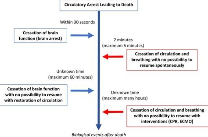 Lindsey Lanoux Dies from Cardiac Arrest, Well-known Atheist