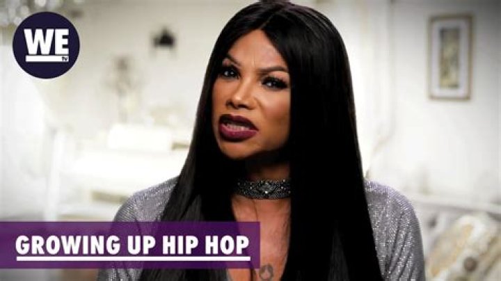 What Is Brianna’S Net Worth From Growing Up Hip Hop? – Celebrity