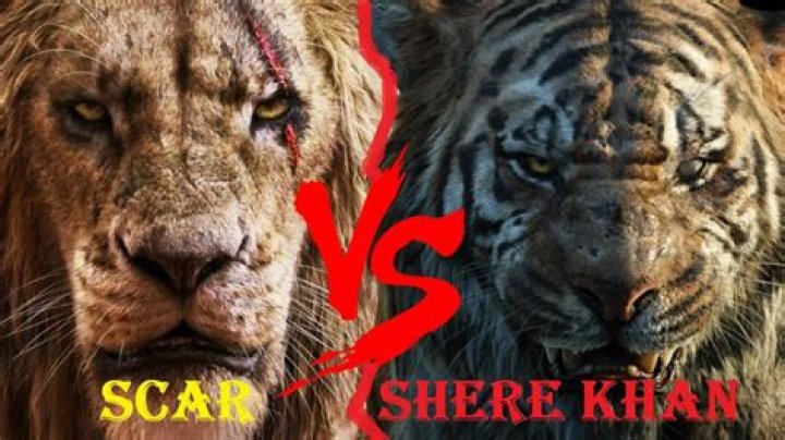 Who would win scar VS Shere Khan? – Celebrity
