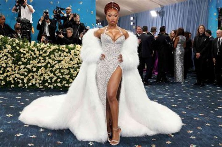Why is Megan called a stallion? – Celebrity